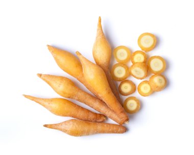 Kaempferia bitkisi beyaz arkaplan görünümünde izole edildi