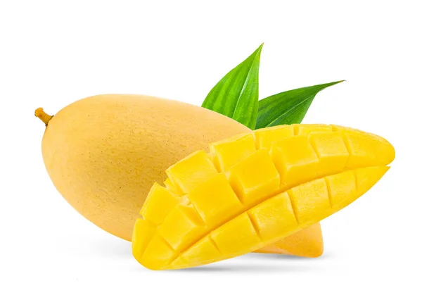 Mango Geïsoleerd Witte Achtergrond — Stockfoto