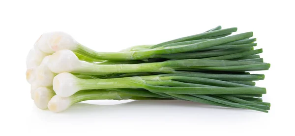 Green Onion Isolated White Background — Stock Photo, Image