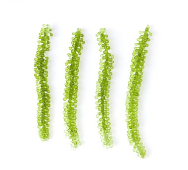 Beyaz arkaplan görünümlü deniz yosunu (yeşil havyar)