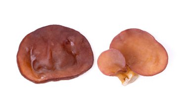 Jöle mantarı beyaz arkaplan görünümünde izole