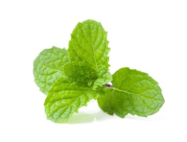Beyaz arkaplanda izole edilmiş nane yaprakları