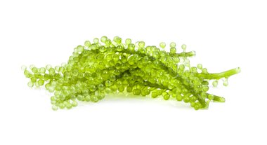 Beyaz arkaplanda deniz yosunu (yeşil havyar)