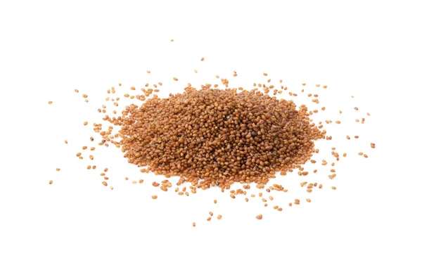 Brown Teff Grain White Background — стокове фото