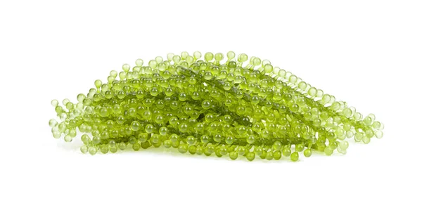 Sea Grapes Green Caviar Seaweed White Background Royalty Free Stock Images