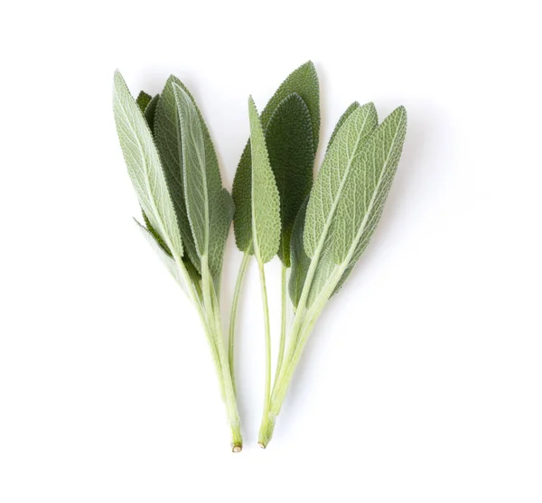 Sage Herb Leaves Isolated White Background Top View Royalty Free Stock Photos