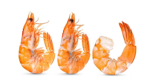 Cooked Shrimps Isolated White Background Full Depth Field Stock Image