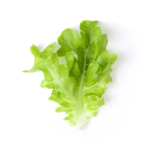 Fresh Green Lettuce Salad Leaves Isolated White Background Top View Royalty Free Stock Images