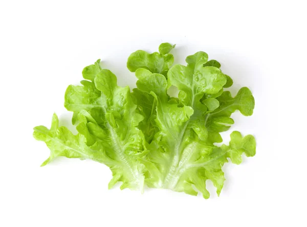 Fresh Green Lettuce Salad Leaves Isolated White Background Top View Royalty Free Stock Photos