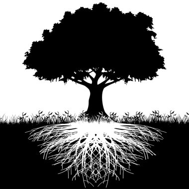Tree roots silhouette clipart