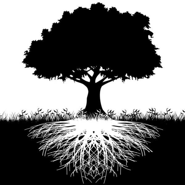 Trädet rötter siluett — Stock vektor