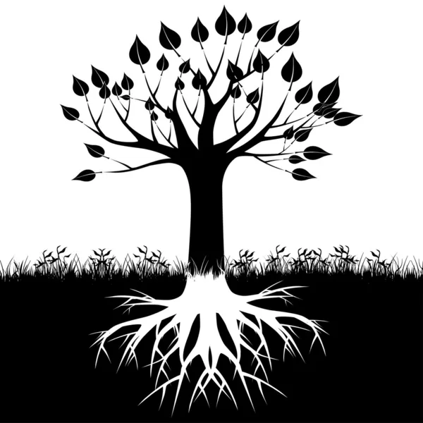 Силуэт корней дерева — стоковый вектор