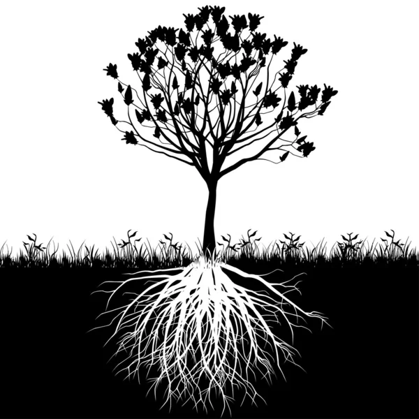 Δέντρο ρίζες σιλουέτα — Διανυσματικό Αρχείο