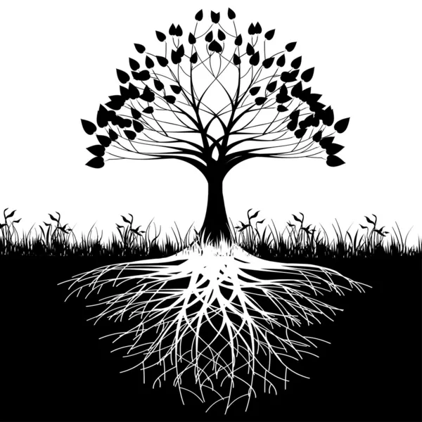photo Silueta Arbol Para Colorear Con Raices plantas con raices vectores graficos
