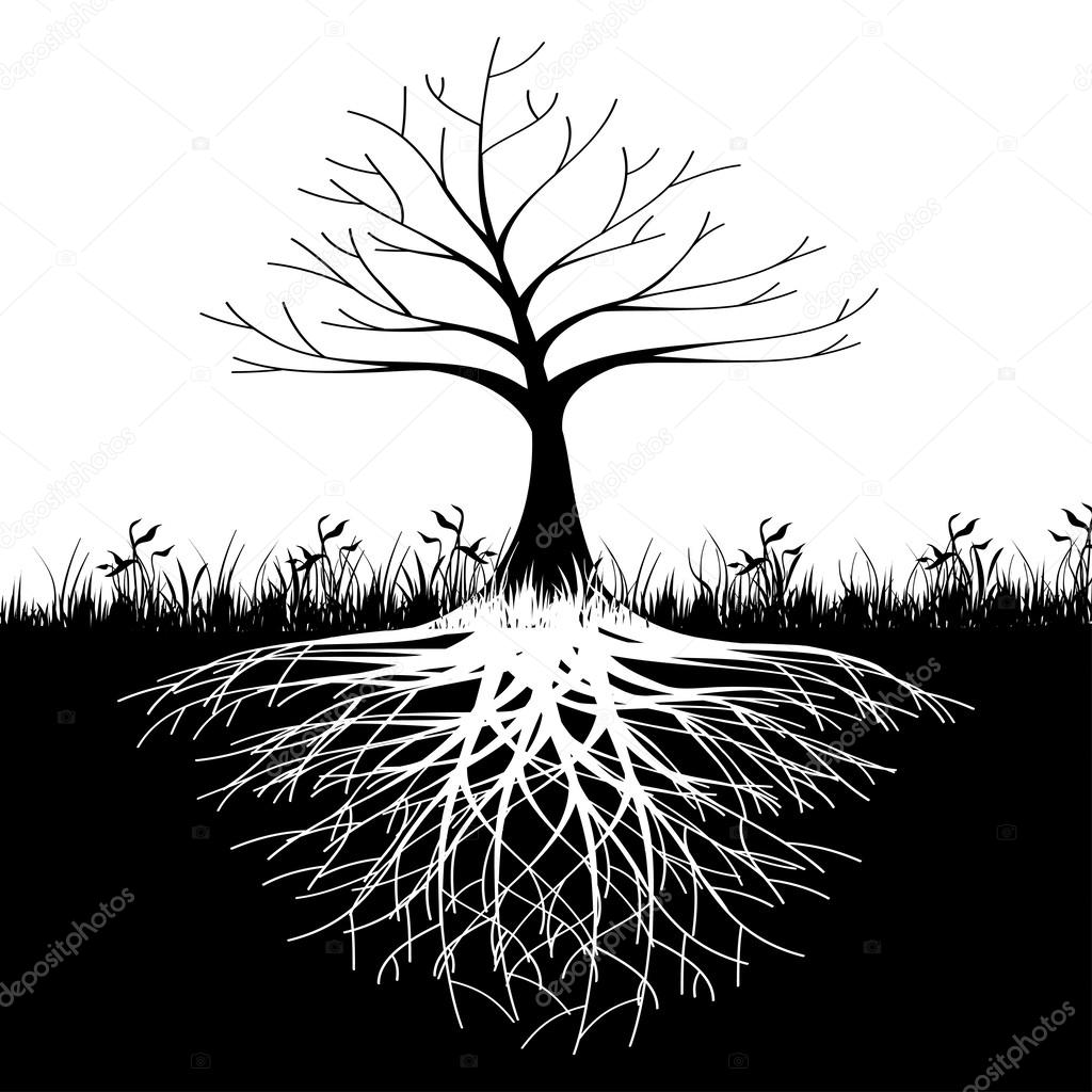 Illustration of silhouette tree with roots as a symbol of nature.