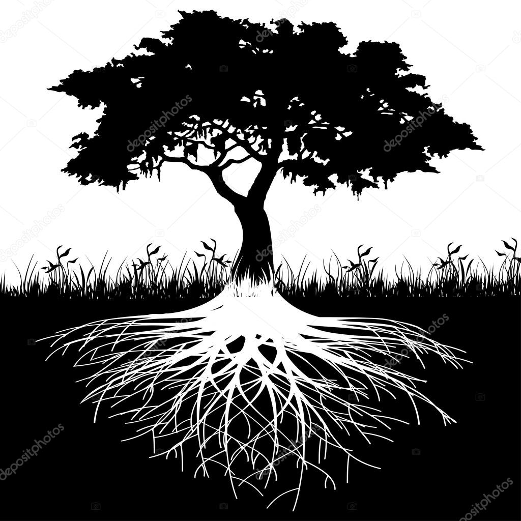 Illustration of silhouette tree with roots as a symbol of nature.