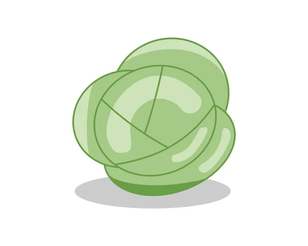 Cabbage Vector Icon Vegetables Healthy Vegetarian Food Organic Plant Symbol — Vetor de Stock
