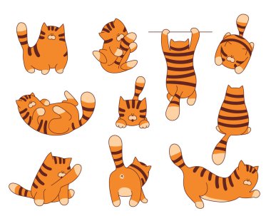 Bir dizi komik karikatür kaplan karakter çizimi. Yazılı bebek tasarımı veya web grafiği için hayvan koleksiyonu.