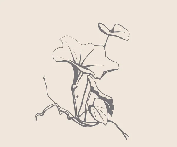 自然花の庭の植物 手描きの芸術 パステルカラーの花ベクトルイラスト — ストックベクタ