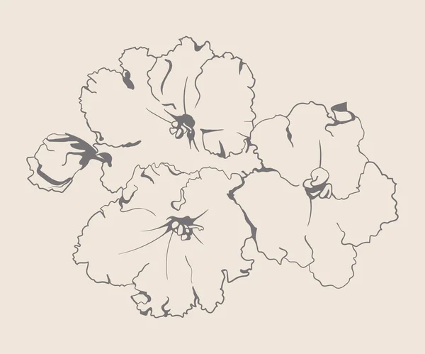 Φυτό Κήπο Λουλούδια Ζωγραφισμένο Στο Χέρι Τέχνης Εικονογράφηση Φορέα Λουλουδιών — Διανυσματικό Αρχείο