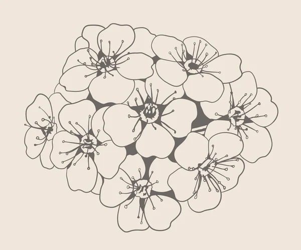 フラワーイラストベクトルラインアートデザイン 花の手自然装飾を描く ヴィンテージガーデンスケッチ — ストックベクタ