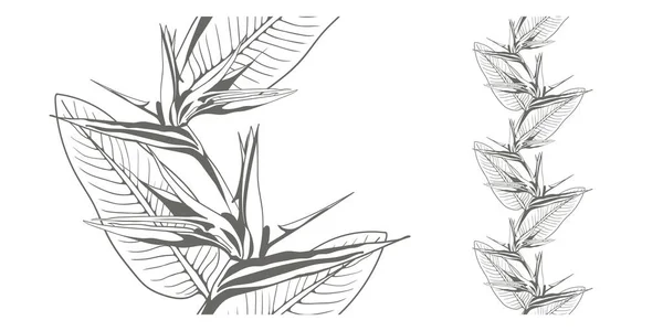 Vzor Květin Hladké Vektorové Pozadí Květinový Design Ilustrace Pro Textil — Stockový vektor