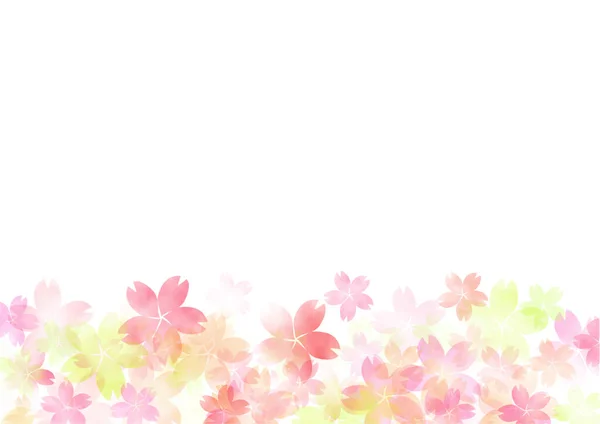 Cherry Blossom Transparent Backgrounds Web Graphics Spring Frame Clip Arts — Stock Photo, Image