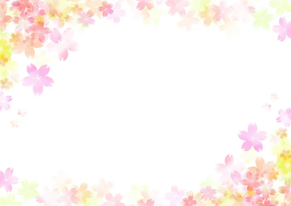 Cherry Blossom透明背景Web图形Spring Frame Clip Arts — 图库照片