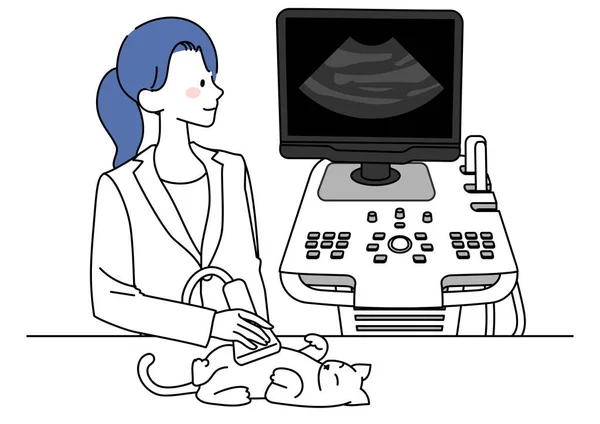 Illustration Veterinarian Performing Ultrasound Cat — Vettoriale Stock