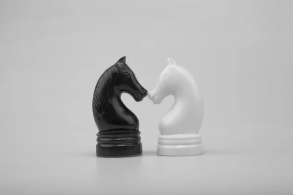 Chess Horse — Stock Photo, Image