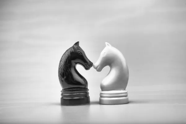 Chess horse — Stock Photo, Image