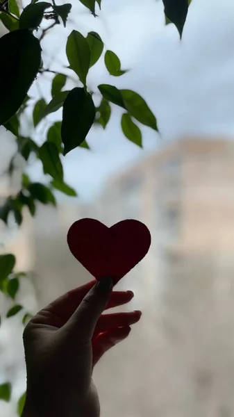 Jantung Kertas Merah Tangan Perempuan Dengan Latar Belakang Jendela Dan — Stok Foto