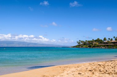 Hawaiian beach