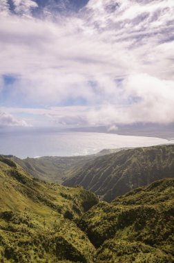 Hawaii kıyı şeridi