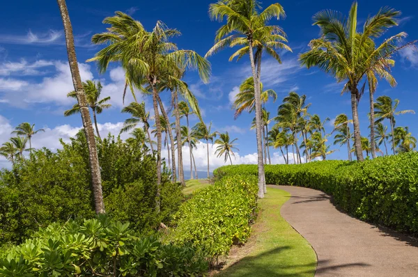 Ruta costera hawaiana —  Fotos de Stock