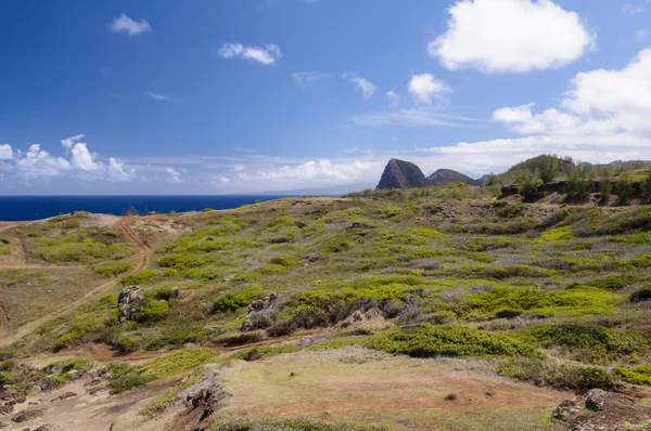 Hawaiianische Küste — Stockfoto