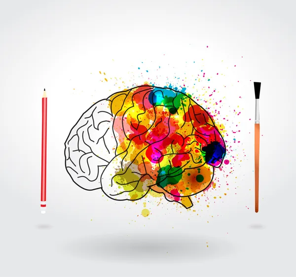 Creativity brain — Stock Vector