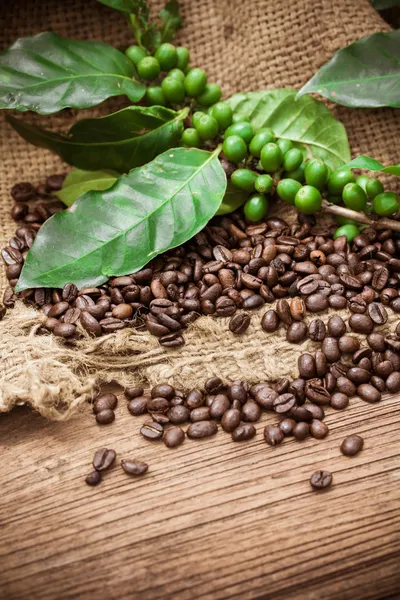 Granos de café frescos sobre fondo de madera — Foto de Stock