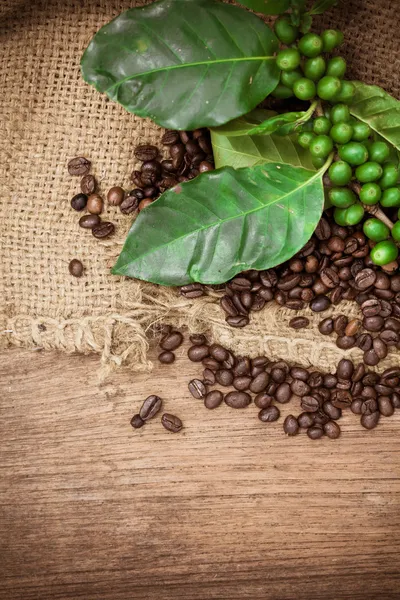 Frische Kaffeebohnen auf Holz Hintergrund — Stockfoto