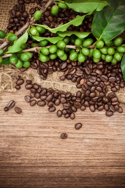 Granos de café frescos sobre fondo de madera — Foto de Stock