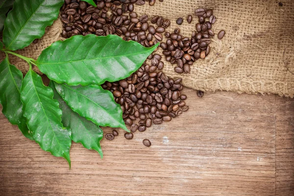 Granos de café frescos sobre fondo de madera — Foto de Stock