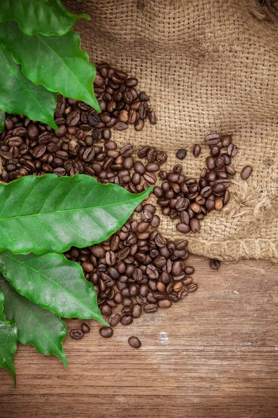 Свежий кофе в зернах на деревянном фоне — стоковое фото