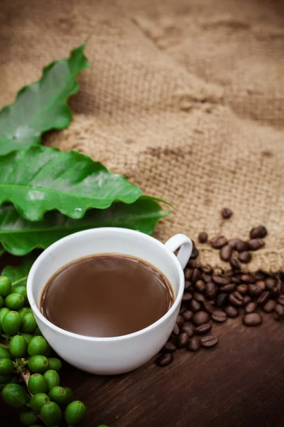 Cup coffee and beans on wood background — Stock Photo, Image