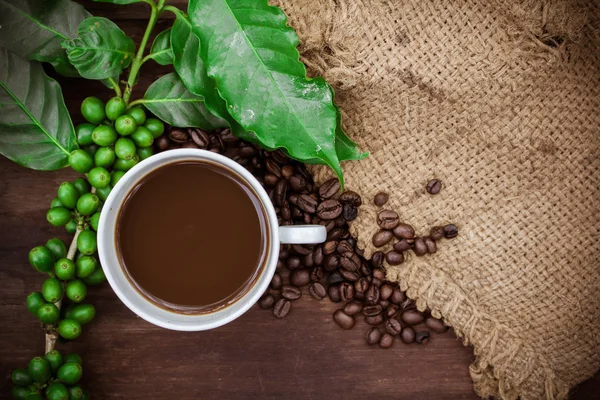 Tasse Kaffee und Bohnen auf Holz Hintergrund — Stockfoto