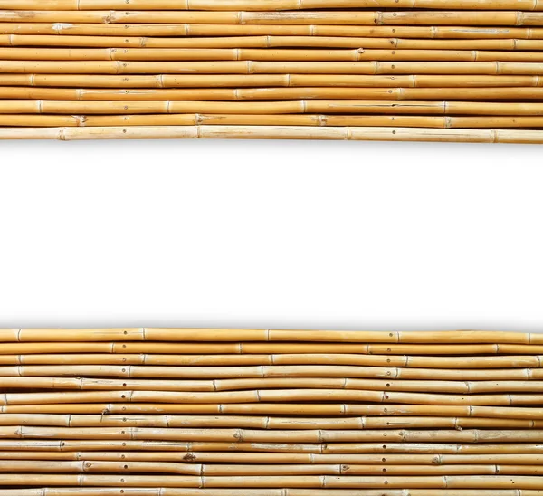 白の背景に竹 — ストック写真