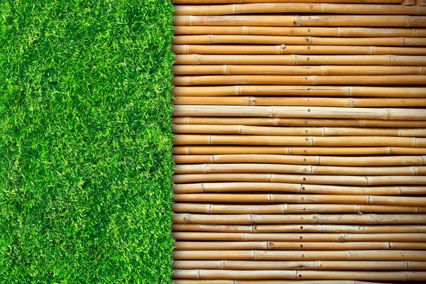 Gras op bamboe — Stockfoto