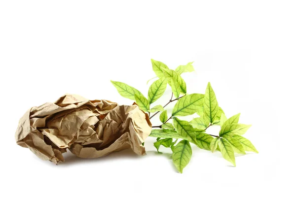 Small plant in recycled paper — Stock Photo, Image