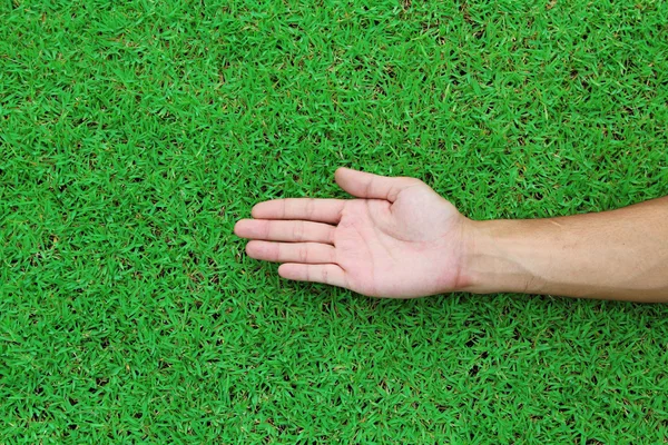 Mãos abertas. Segurando, dando, mostrando conceito na grama verde de volta — Fotografia de Stock