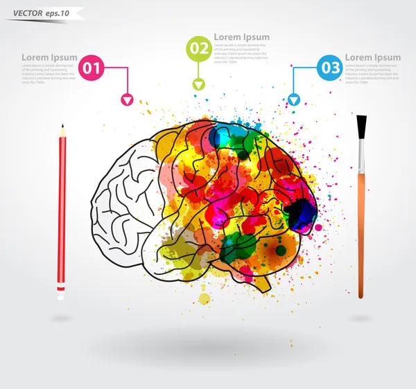 Creativity brain, Vector illustration template design — Stock Vector