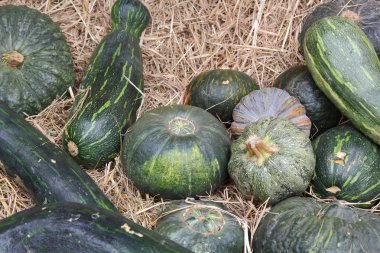 saman üzerinde kabak